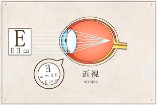 开云官网入口手机版app